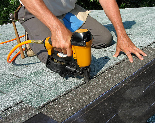 Best Storm Damage Roof Repair  in Lewisburg, KY