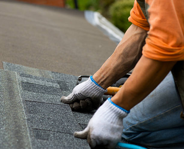 Best Roof Leak Repair  in Lewisburg, KY