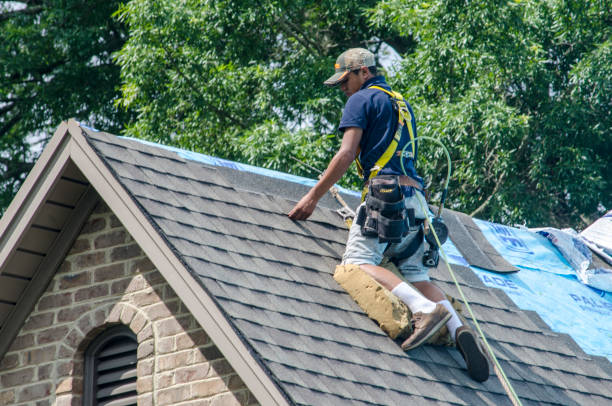 Professional Roofing Contractor in Lewisburg, KY